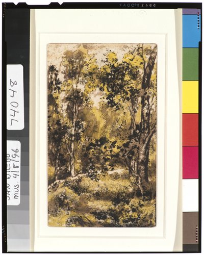 Forest Scene by Ralph Albert Blakelock